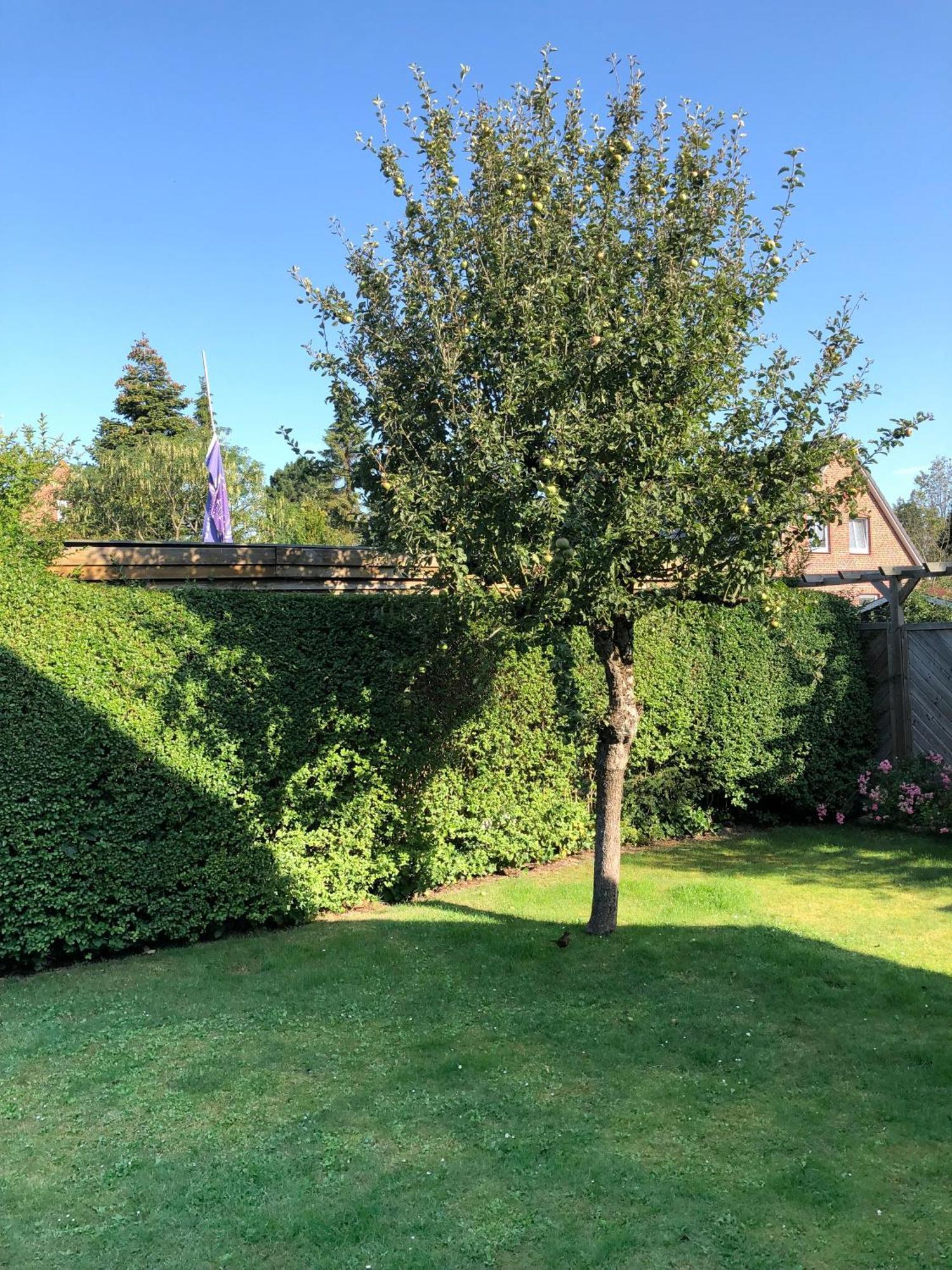 Pier 14 Villa Wyk auf Föhr Eksteriør bilde